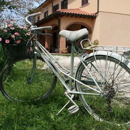 Diciocco Venturina Terme