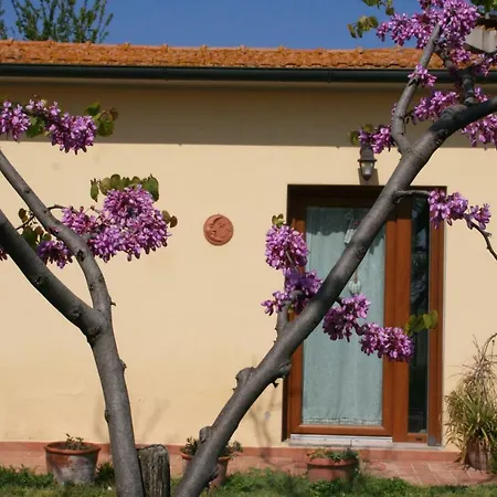 Diciocco Venturina Terme