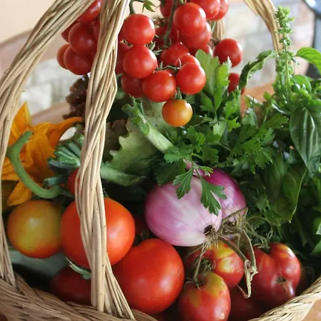 Diciocco Vakantieboerderij Venturina Terme